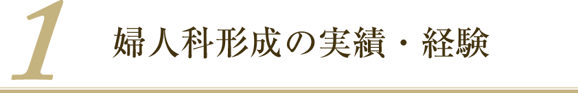婦人科形成の経験